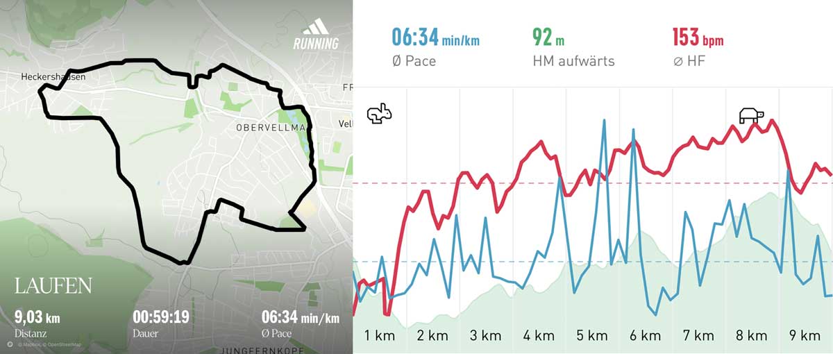 Laufgruppe 25. Februar 2025 Strecke