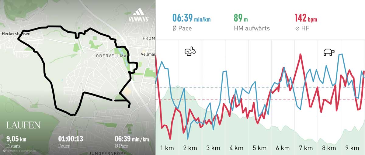 Laufgruppe 26.02.25 Strecke