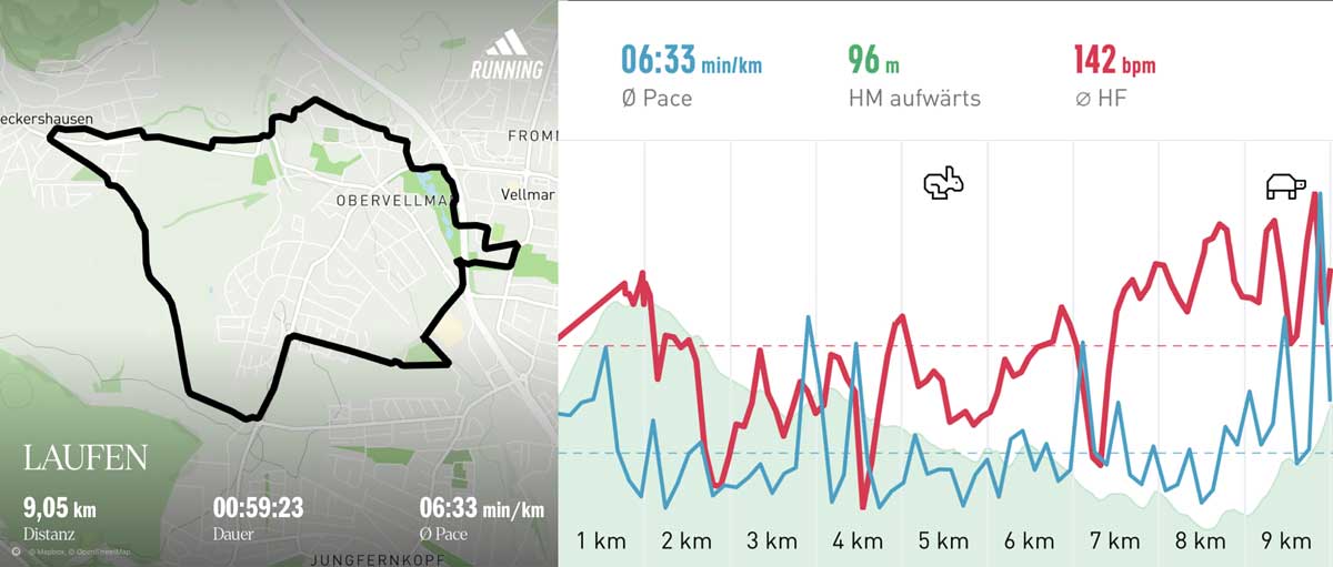 Laufgruppe 13. März 2025 Strecke