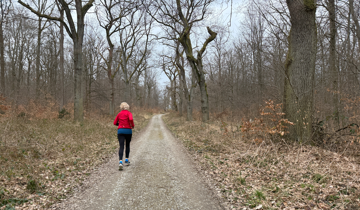 Laufgruppe 15. März 2025