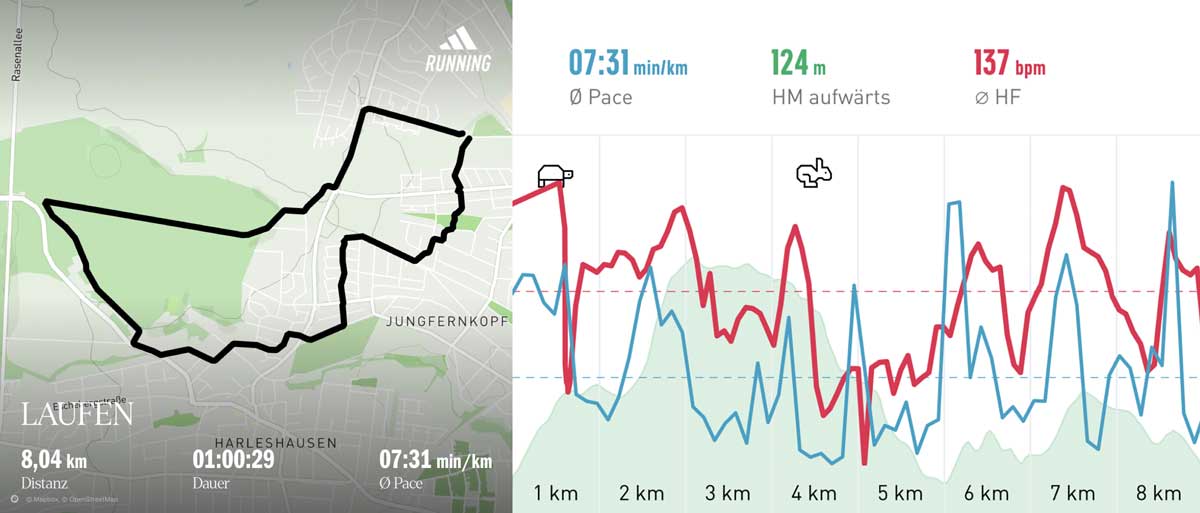 Laufgruppe 22. März 2025 Strecke