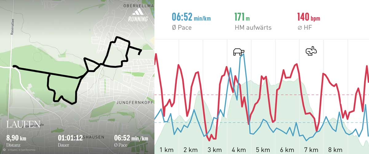 Laufgruppe 21. Mai 2025 Strecke