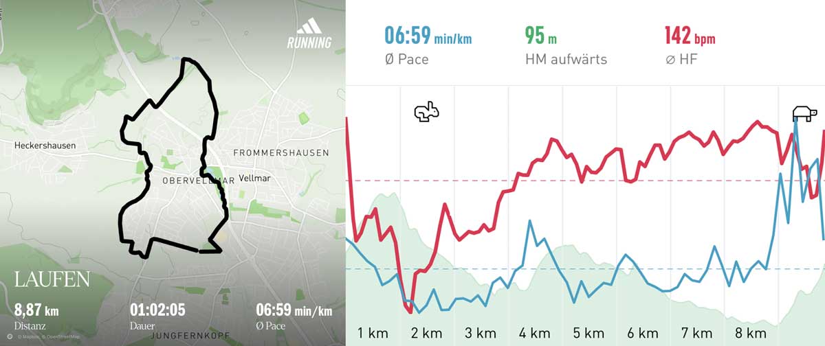 Laufgruppe 31. Mai 2025 Strecke