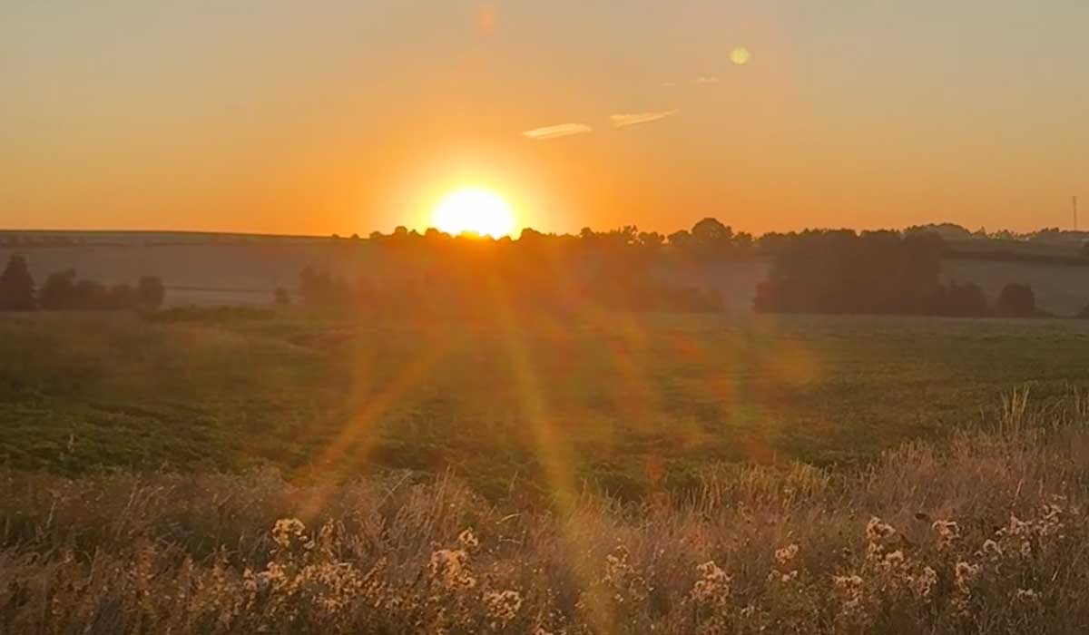Laufen am Morgen 12. August 2025
