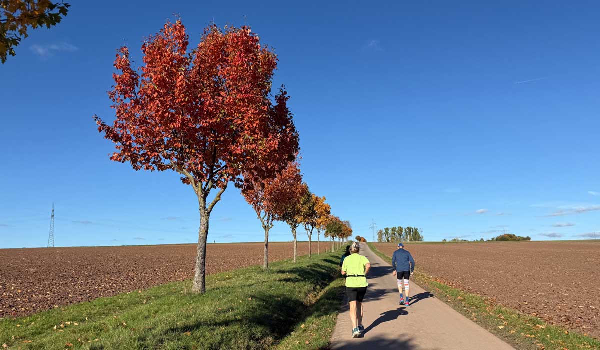 Laufgruppe 18. Oktober 2025