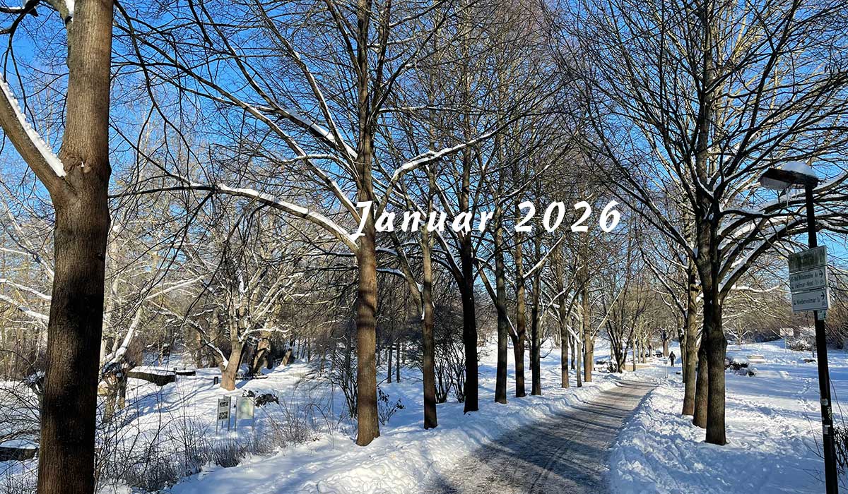 Laufen Januar 2026