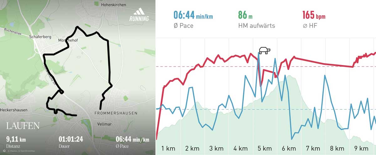 Laufen 17. Januar 2026 Strecke