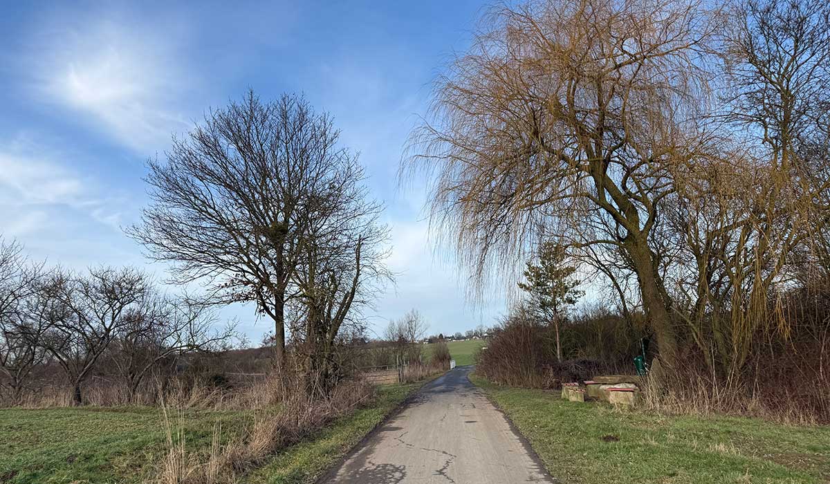 Laufen 17. Januar 2026