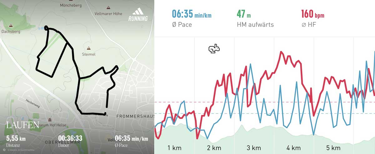 Laufen 24. Januar 2026 Strecke
