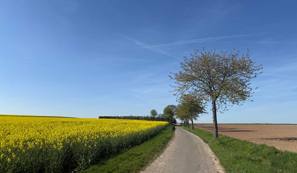 Running 23 April 2026