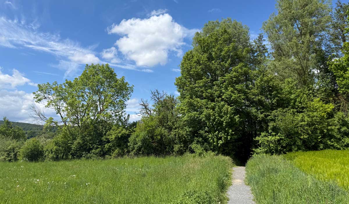 Laufen 16. Mai 2026