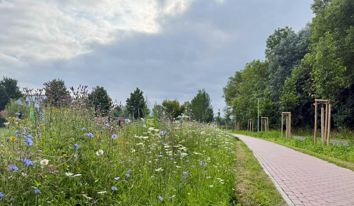 Running 18 July 2026