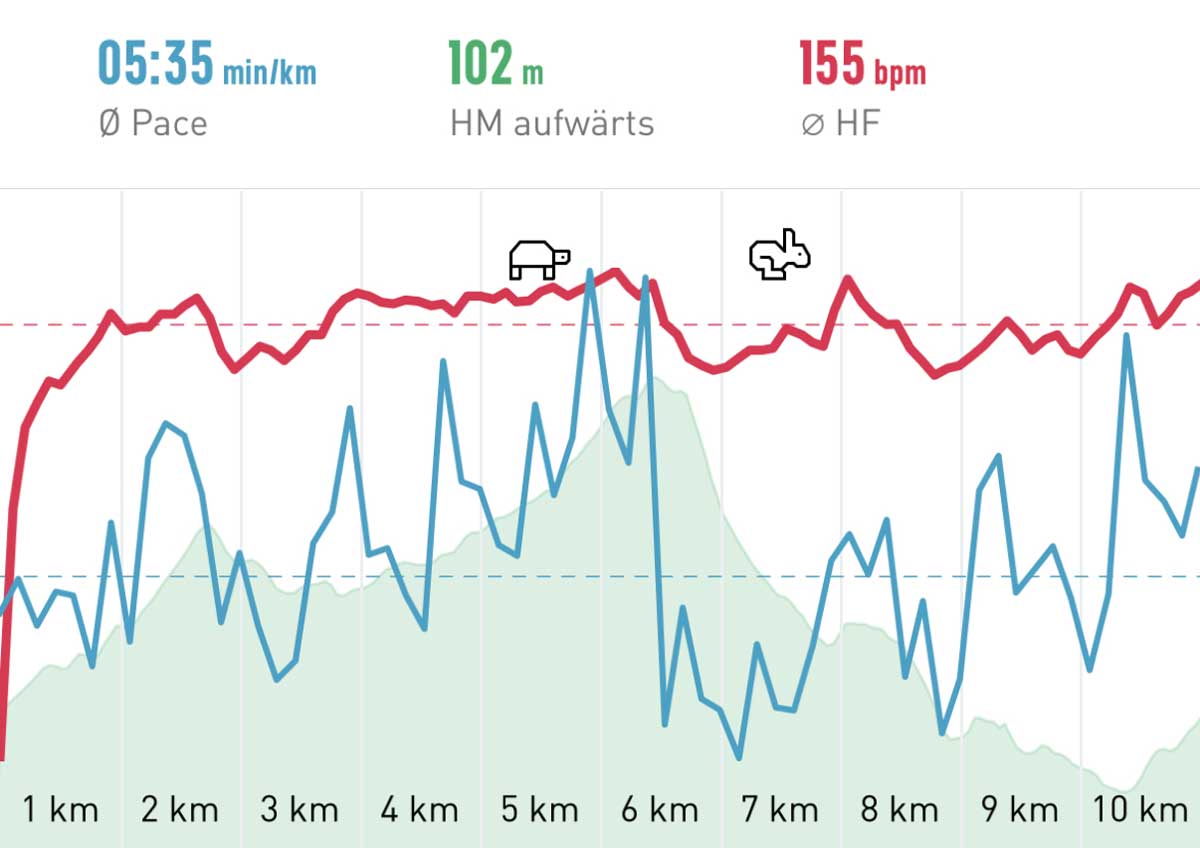 My home course Elevation profile