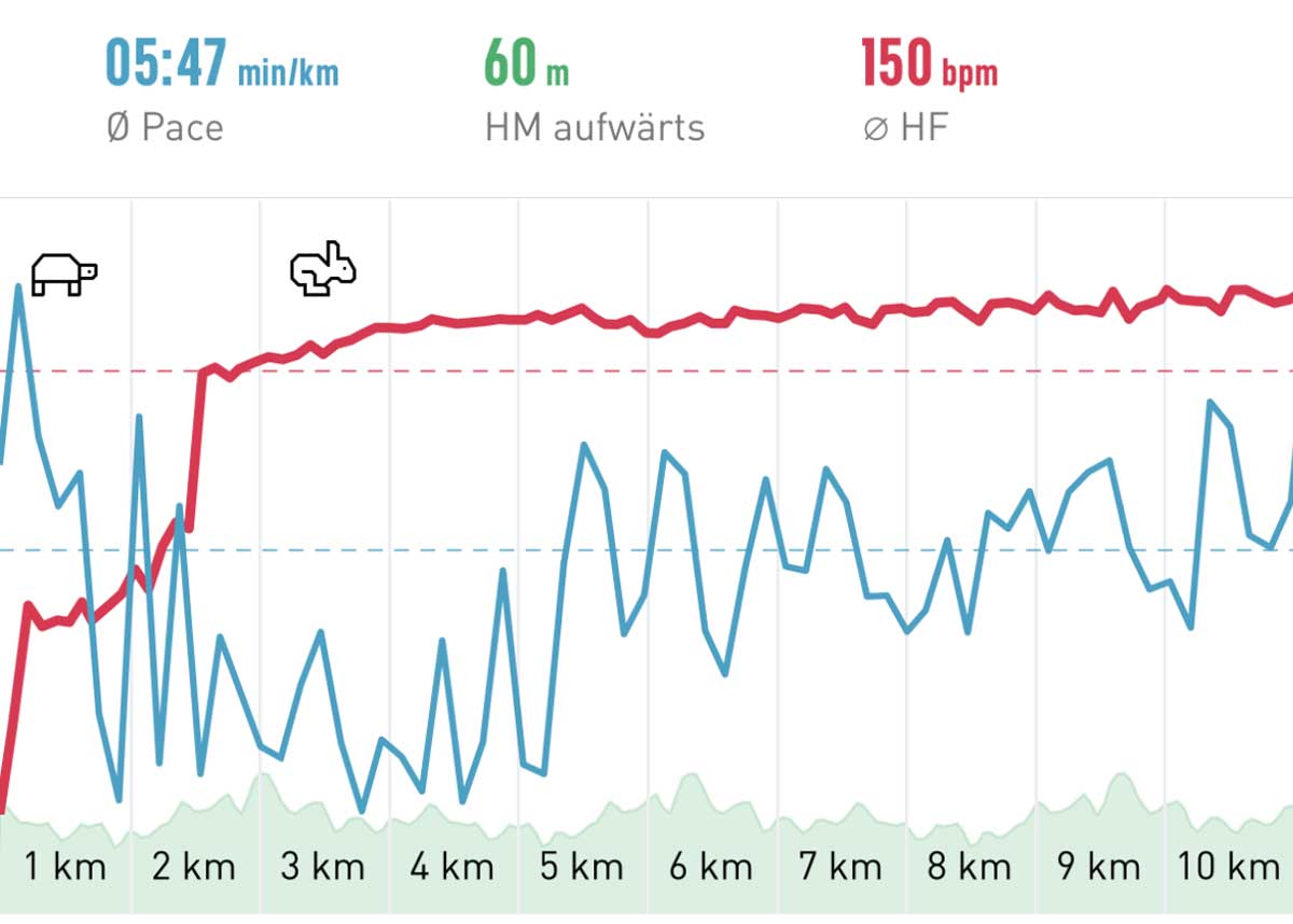 Cologne Nikolauslauf Elevation profile